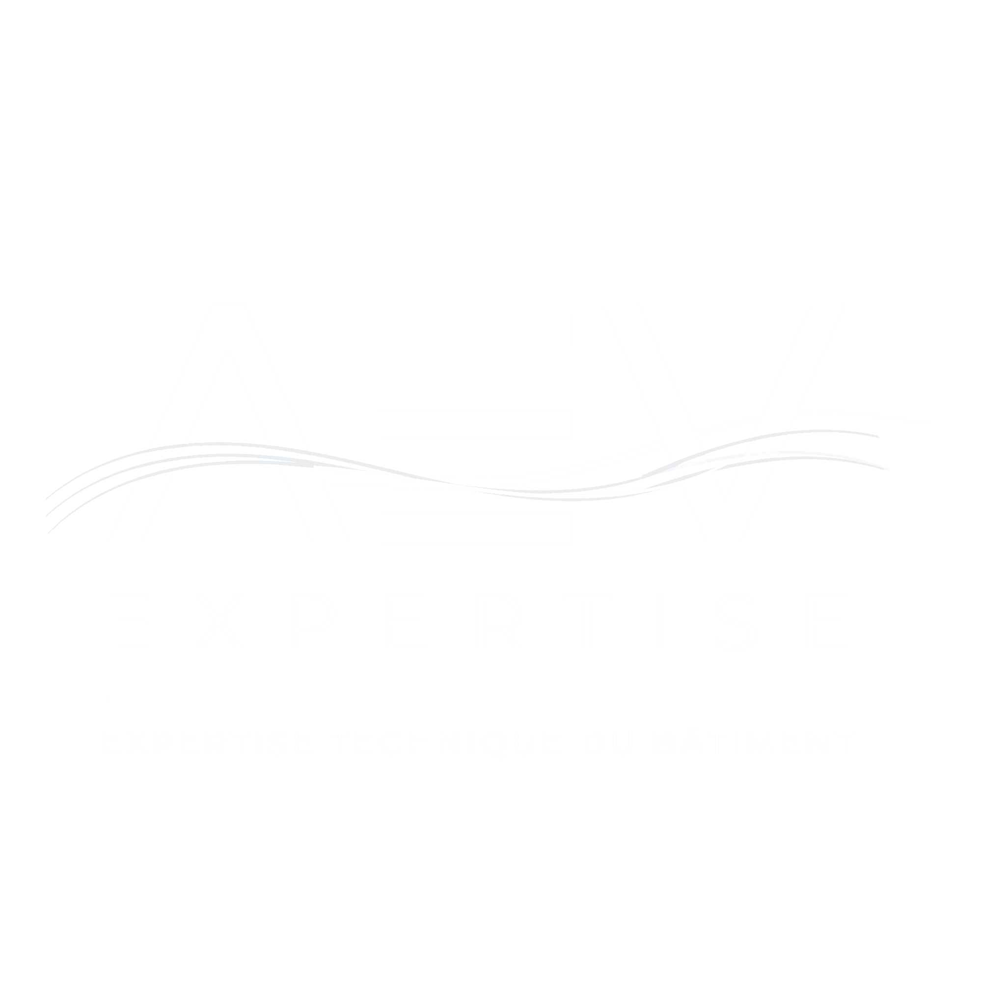 LOGO AEV Expertise